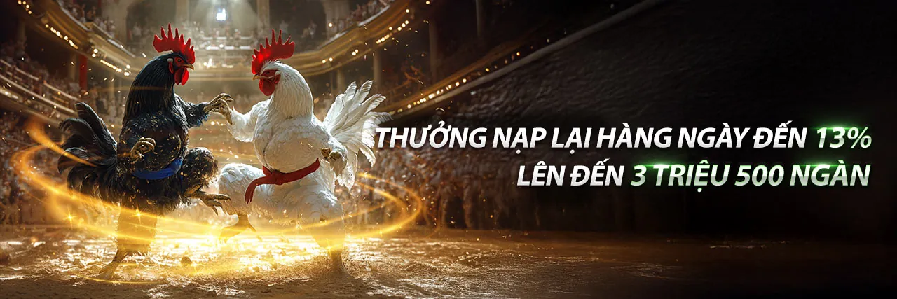 Sodo369 Nhà Cái - Nền tảng cá cược trực tuyến hàng đầu Việt Nam